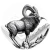Mouflon